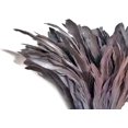 Yard 810" Silver Gray Strung Natural Bleach & Dyed Rooster Coque