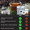 thumbnail image 2 of WHYZ Strong Black Tea Powder 4.5 oz, Zero Sugar Black Tea, Boost Energy & Health, 2 of 10