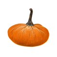 thumbnail image 1 of Adorno de calabaza artificial suave relleno muñeca decoración de escritorio para otoño Halloween regalo de decoración de acción de gracias, amarillo Feliz Sencillez, 1 of 5