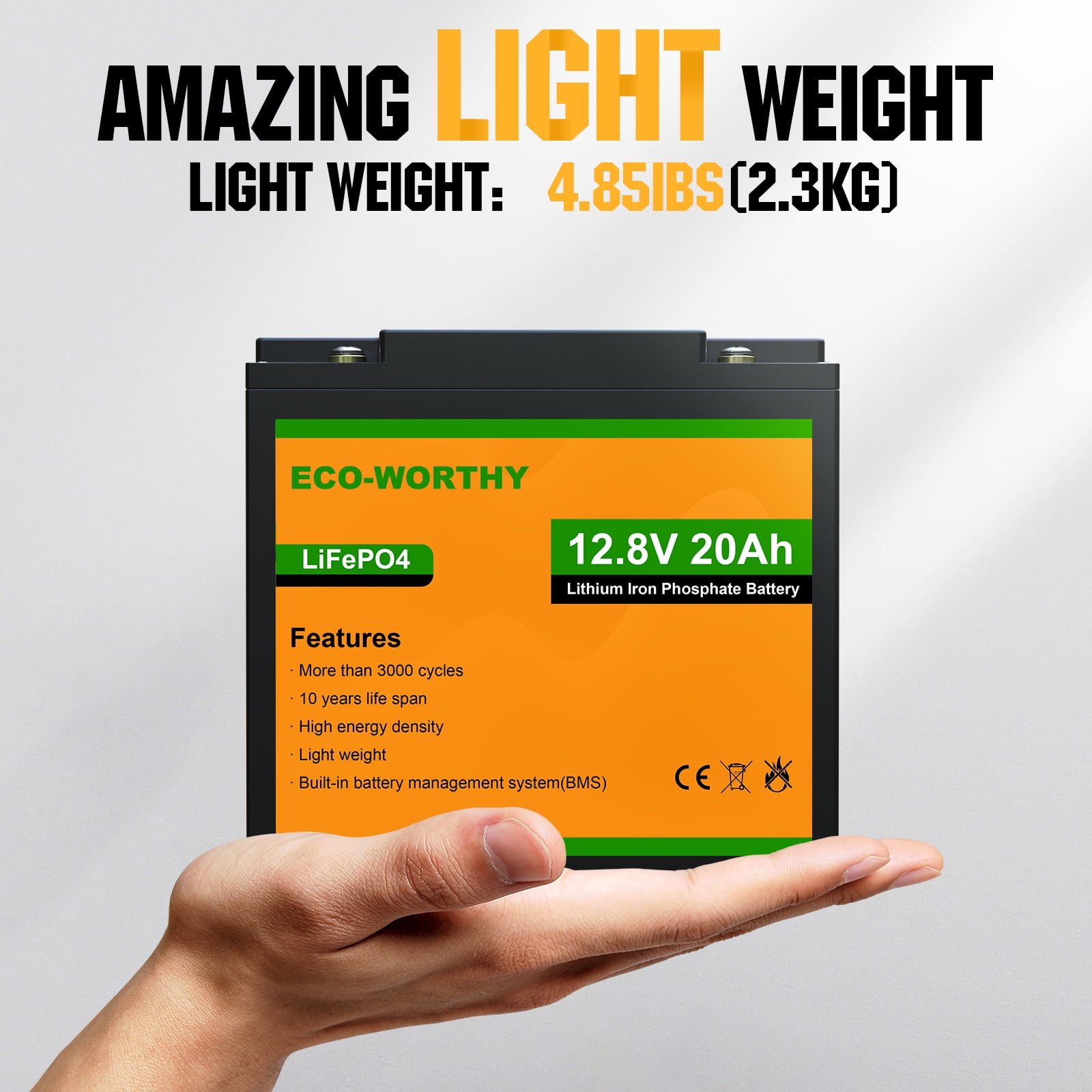 Eco-Worthy LiFePO4 12V Vehicle Battery, Top Post for RV