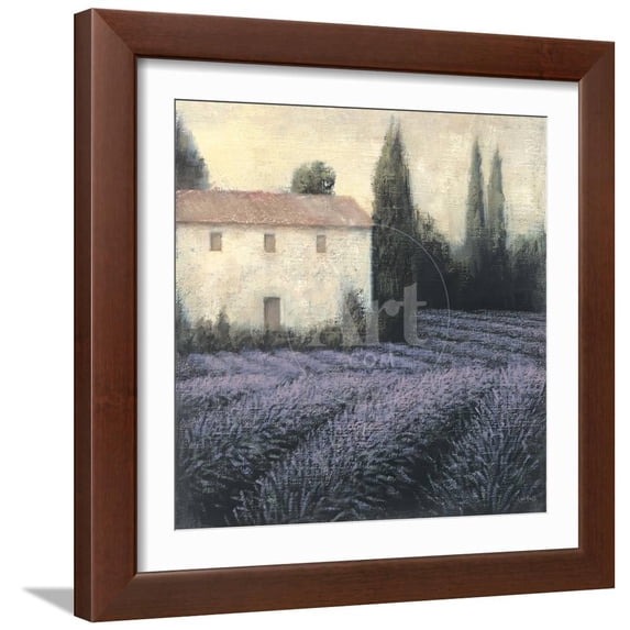 Art.com Printed Scenic Framed Art Prints, 22" x 22", by James Wiens