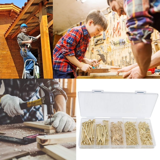 Pack De 200 Clavos De Acero Templado De 20 Mm – Para Hormigón Y Madera, Punta Afilada Sin Necesidad De Pretaladrar – Incluye Caja De Almacenamiento – Ideales Para Cuadros Y Carpintería