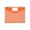 Orange, variant on Niriyo 11-Hole Transparent Binder Pocket with Hook and Loop Closure, Expandable Plastic Folder for 2/3/4 Ring Binders, Document Organizer with Label Holder, Blue