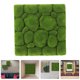 thumbnail image 4 of 2 piezas de tablero de espuma de musgo de simulación, plantas verdes, decoración de pared, fondo de pared DIY, 4 of 6