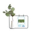 thumbnail image 1 of Un estanque de loto Jarrones colgantes de vidrio transparente Decoración Botella, 1 of 4