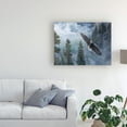 thumbnail image 3 of Trademark Fine Art 'Soaring High II' Canvas Art by B. Lynnsy, 3 of 3