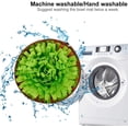 thumbnail image 5 of SNWXD001 Almohadilla de almacenamiento conveniente para olores de perros, verde Ormromra CPB-US-ZMR24, 5 of 5