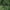 Green, variant on 5 in 1 Ghillie Suit, 3D Camouflage Hunting Apparel Including Jacket, Pants, Hood, Carry Bag Suitable for Unisex Kids Adults Youth Men