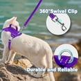 thumbnail image 6 of Cat Harness and Leash Set Escape Proof for Kitten Walking, Soft Adjustable Top Handle Vest Harnesses for Cats, Easy Control Breathable Reflective Small Medium Large, Purple, S, 6 of 10