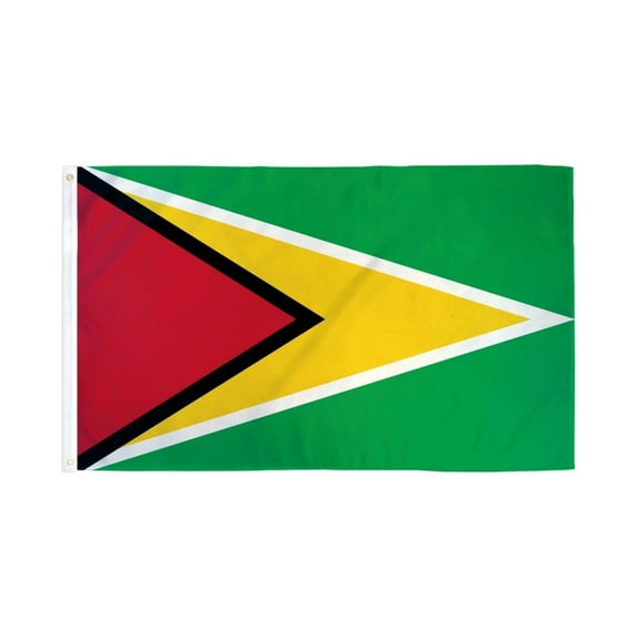 Guyana Flag 2x3ft Poly