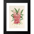 thumbnail image 2 of Charles Antoine Lemaire 11x14 Black Modern Framed Museum Art Print Titled - Lupine Remarkable (Hybrid) (1854-1896), 2 of 5