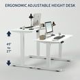 thumbnail image 4 of Jopath 55" W Electric Standing Desk,Home Office Electric Height Adjustable Standing Desk Lifting Range 27~45" Computer Desk for Home Office,White, 4 of 8