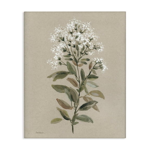 Stupell Industries Blooming Watercolor Flower Botanical & Floral Painting Gallery Wrapped Canvas Art Print Wall Art, 16 x 20