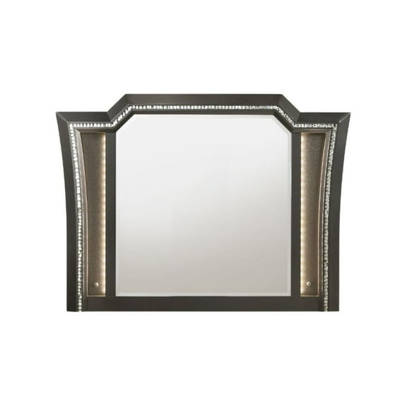 Contemporary Style Wooden Decorative Mirror with LED Lights, Gray