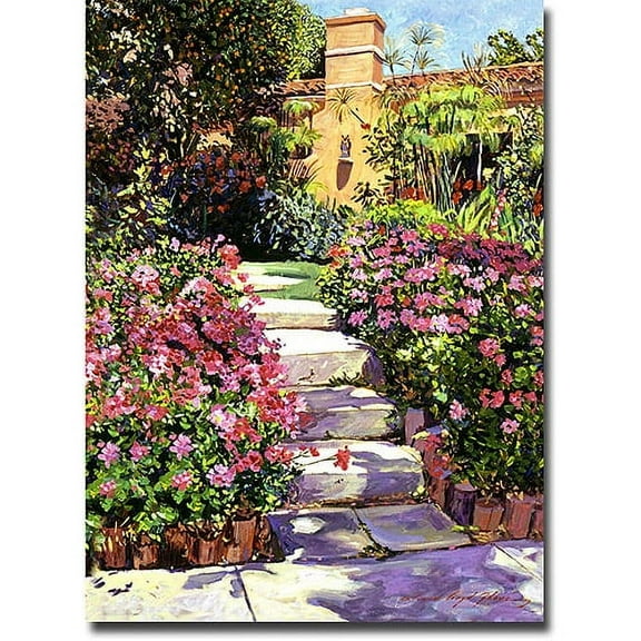Trademark Art "The Five Steps" Canvas Wall Art by David Lloyd Glover