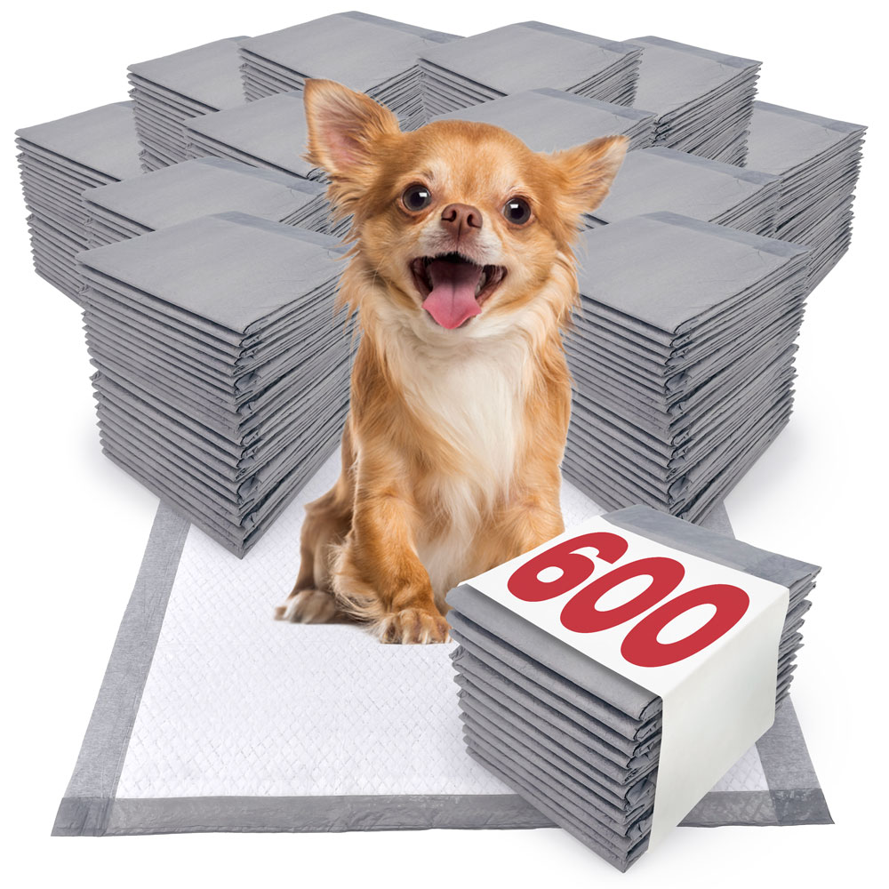 IMPROVED ValuePad Ultra Puppy Pads, Small 17x24 Inch, 600 Count BULK