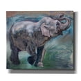 thumbnail image 1 of Epic Graffiti 'Elephant Jubilee' by Robert Campbell, Canvas Wall Art, 30"x26", 1 of 2