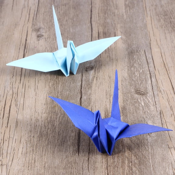 DEEPCRAFF 1 Set Origami Kit for Beginners Assorted Color with DIY Folding Fun