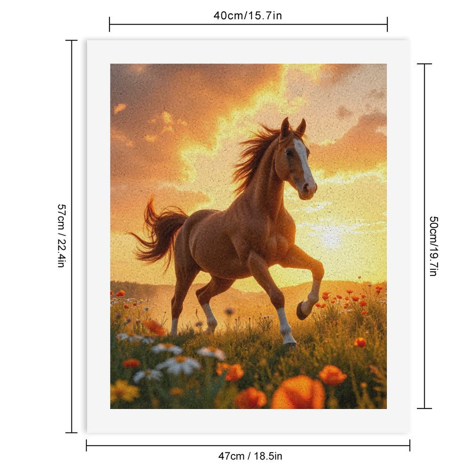 Paint By Numbers Kit for Adults Beginner - Sunset Wild Horse Meadows DIY Canvas Painting Kits for Adults, Frameless Paint By Number for Adults for Home Wall Decor 16x20 Inch