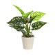 thumbnail image 2 of Artificial Potted Plants Realistic Simulation Green Plants Indoor Home Desk Bookshelf Decor Faux Greenery Decorative Houseplants for Living Room Office, 2 of 6