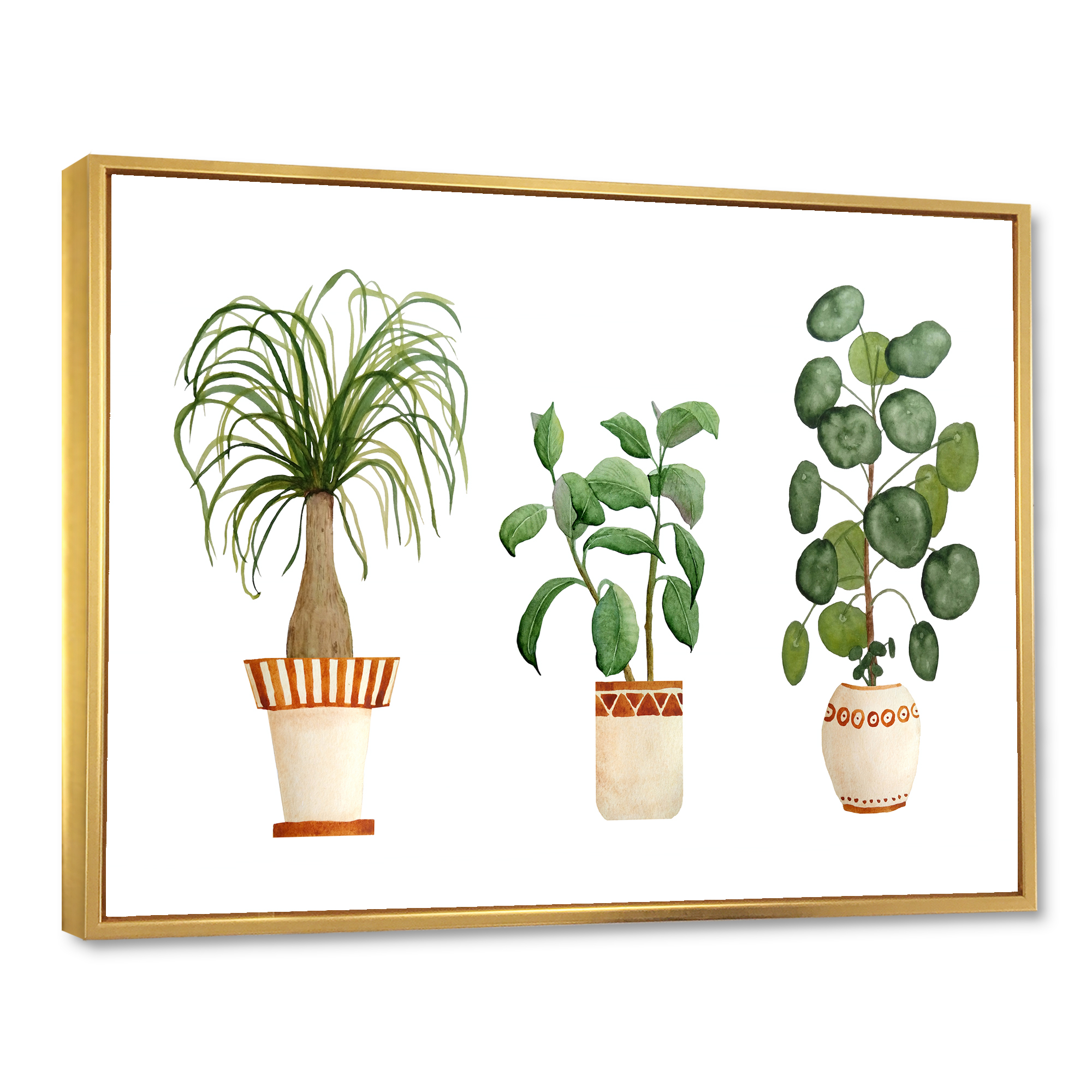 Designart 'Trio of House Plants Ficus Ponytail and Palm' Traditional Framed Canvas Wall Art Print