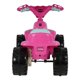 thumbnail image 4 of Montable Electrico Prinsel 4Runner Girl 6v, 4 of 5
