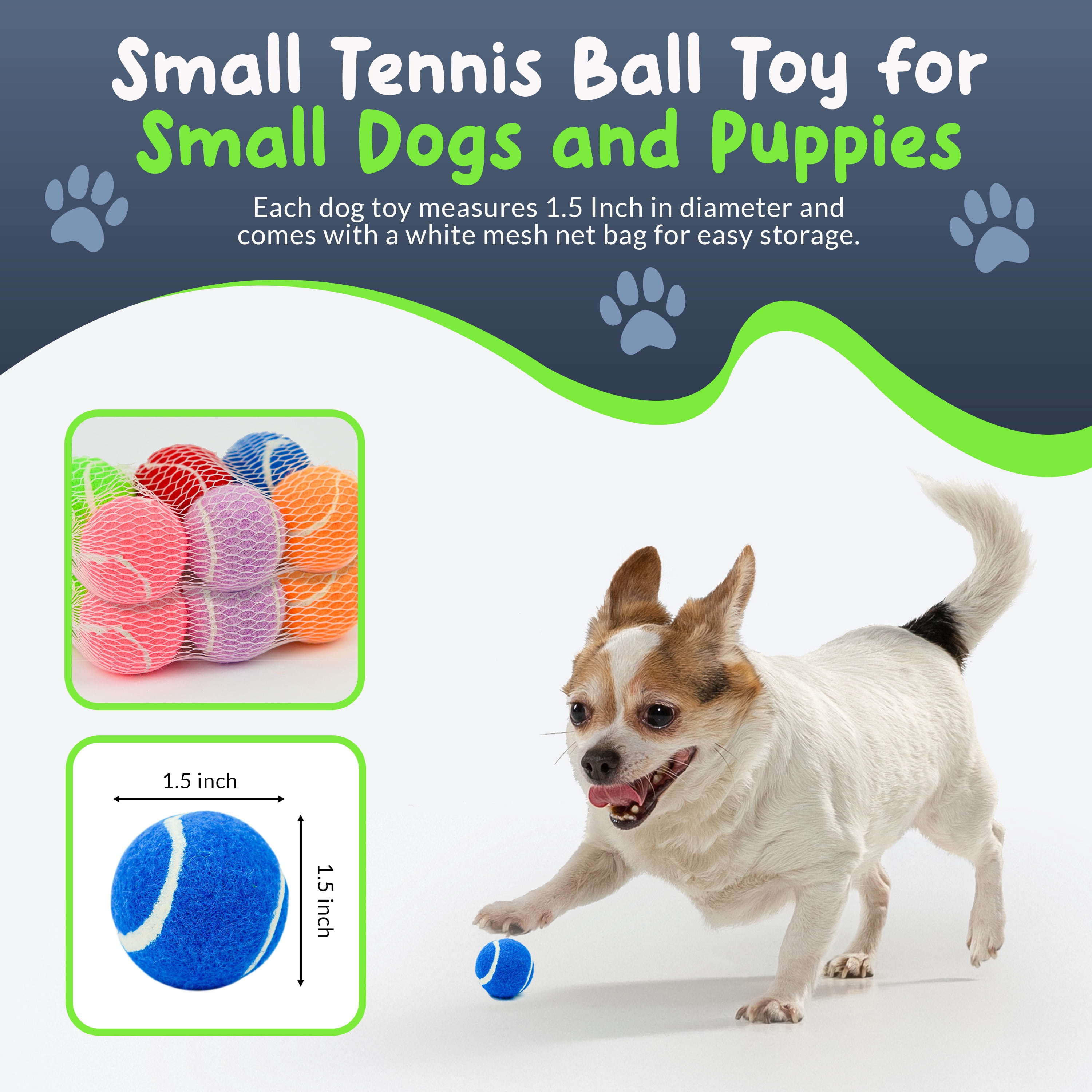 Petite Paws Squeaky Mini Tennis Balls for Small Dogs — 1.5 Inch, 12-Pack — Colorful Fetch & Training Toy