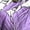 #0251-Purple, variant on Karight Women Loose Fitting Tank Tops Casual Summer Ladies Scoop Neck Sleeveless Shirts