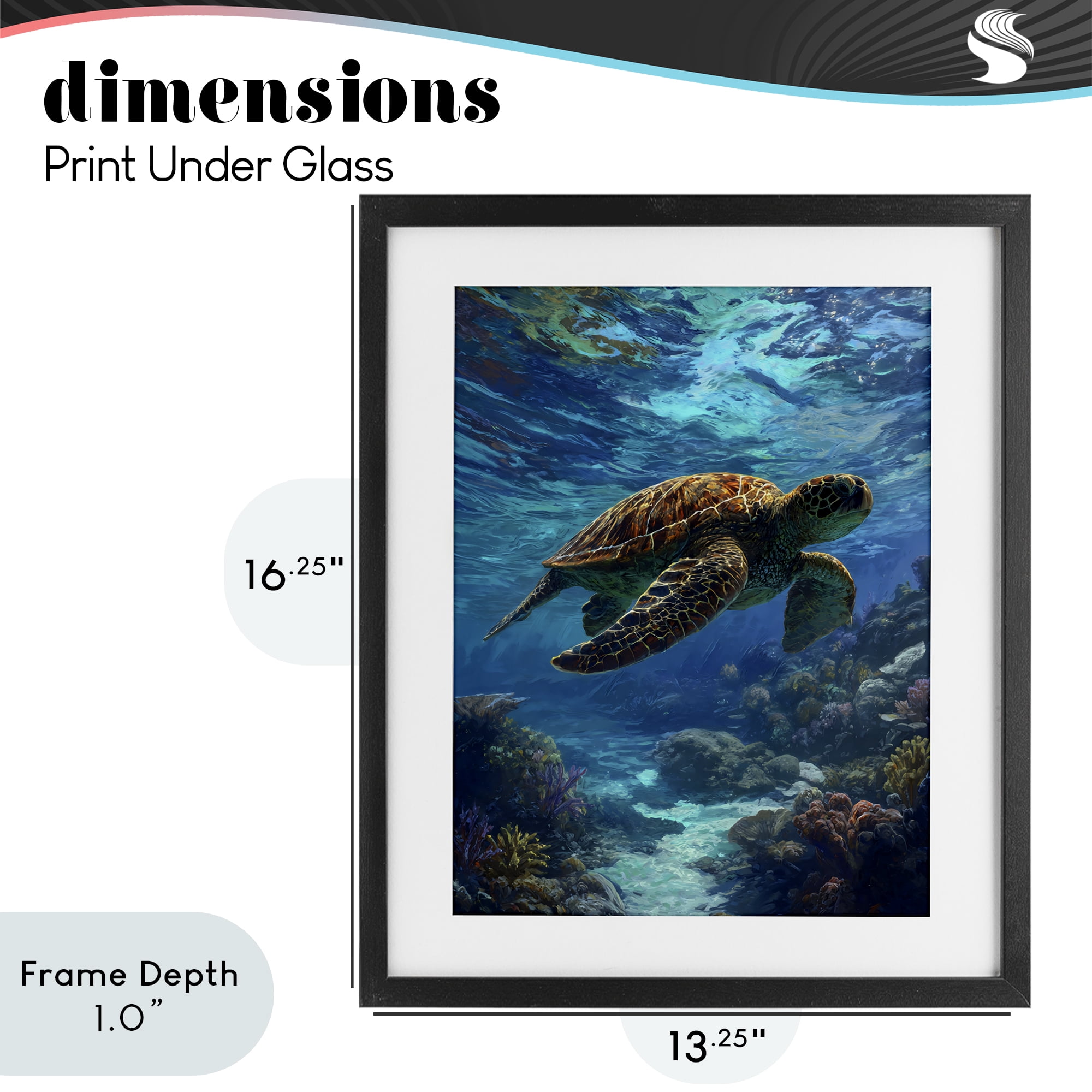 Stupell Industries Oceanic Adventurer Tortoise Black Framed Print Under Glass, design by Franklyn Gregory