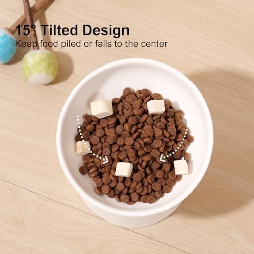 Small Raised Cat Bowls, Ceramic Tilted Elevated Food or Water Bowls, Stress Free, Backflow Prevention, Dishwasher & Microwave Safe, Lead & Cadmium Free, White
