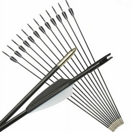 12Pcs Fiberglass Arrows 31 Inch Recurve Bow Compound Archery Hunting