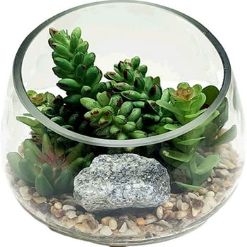 Mainstays 4.7" Artificial  Succulents s Clear Glass Terrarium