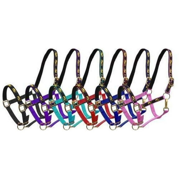 Adjustable Neoprene Lined Nylon Halter w/ "Praying Cowboy" Overlay (Black)