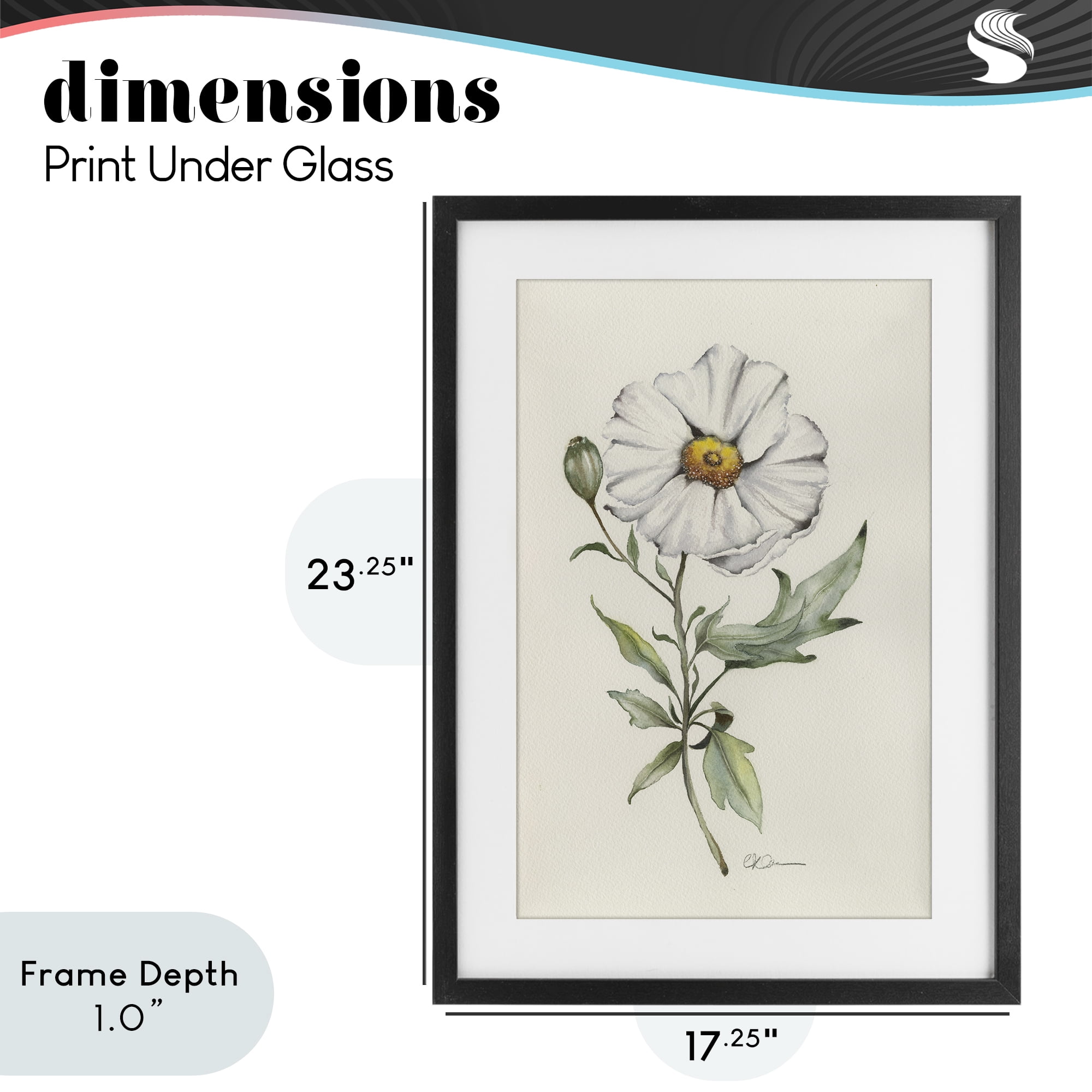 Stupell Industries Natural Wild Blossom Sprig Black Framed Print Under Glass, design by Cady Driver
