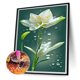 thumbnail image 2 of Diamond Painting 5D DIY Full Round Drill Lilywhites Art Decoración del hogar (A6440) Hugtrwg Para estrenar, 2 of 9