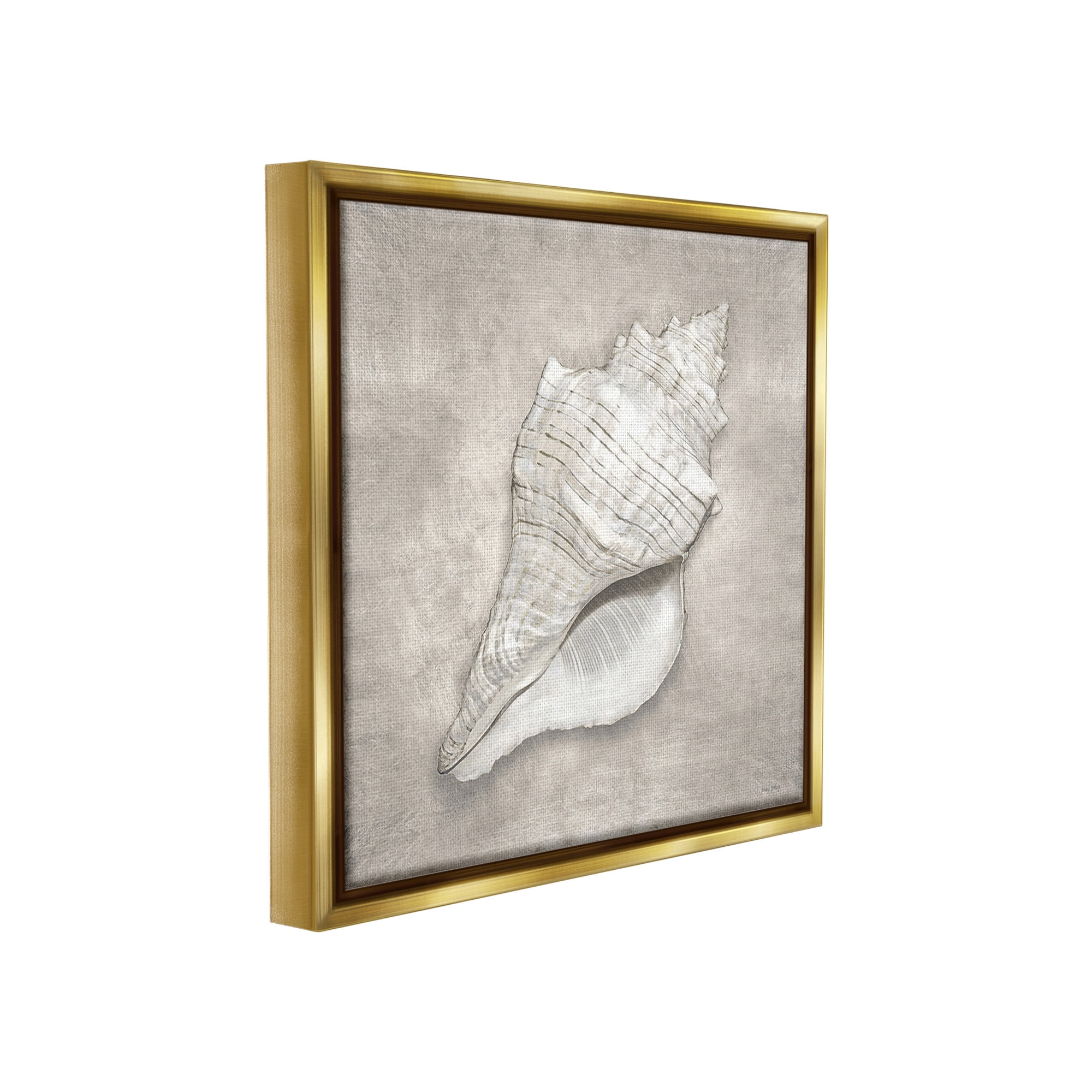 Stupell Industries Rustic Grey Conch Shell Nature Painting Gold Floater Framed Canvas Art Print Wall Art, 18 x 18