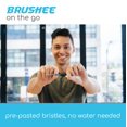 thumbnail image 3 of Brushee 3-in-1 Disposable Mini Toothbrush and Travel Toothbrush, 72-Pack, 3 of 4