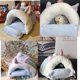 thumbnail image 3 of Cuevas acogedoras Cama para cobayas Cama para animales pequeños Hamaca acogedora para hámster Cueva para animales pequeños Hamaca acogedora para chinchilla Accesorios para jaulas Nido para, 3 of 5