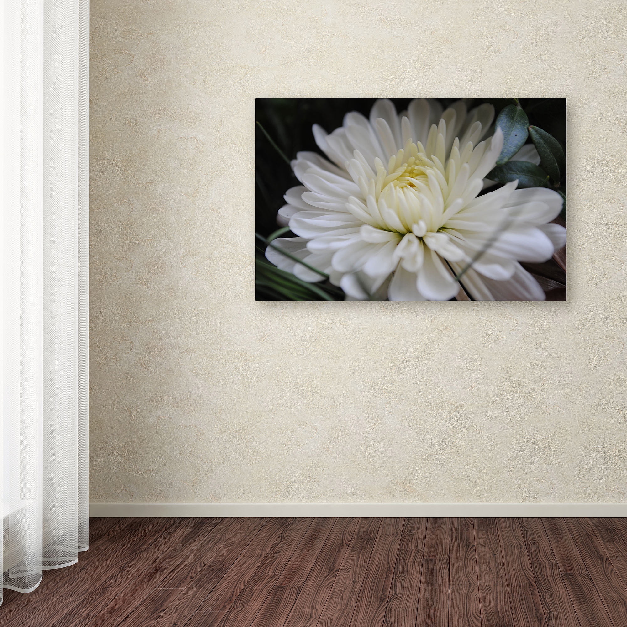 Trademark Fine Art "Vintage Culture" Canvas Art by Monica Fleet