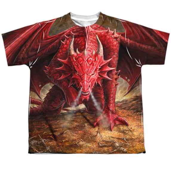Anne Stokes Dragons Lair Officially Licensed Sublimation Youth T Shirt