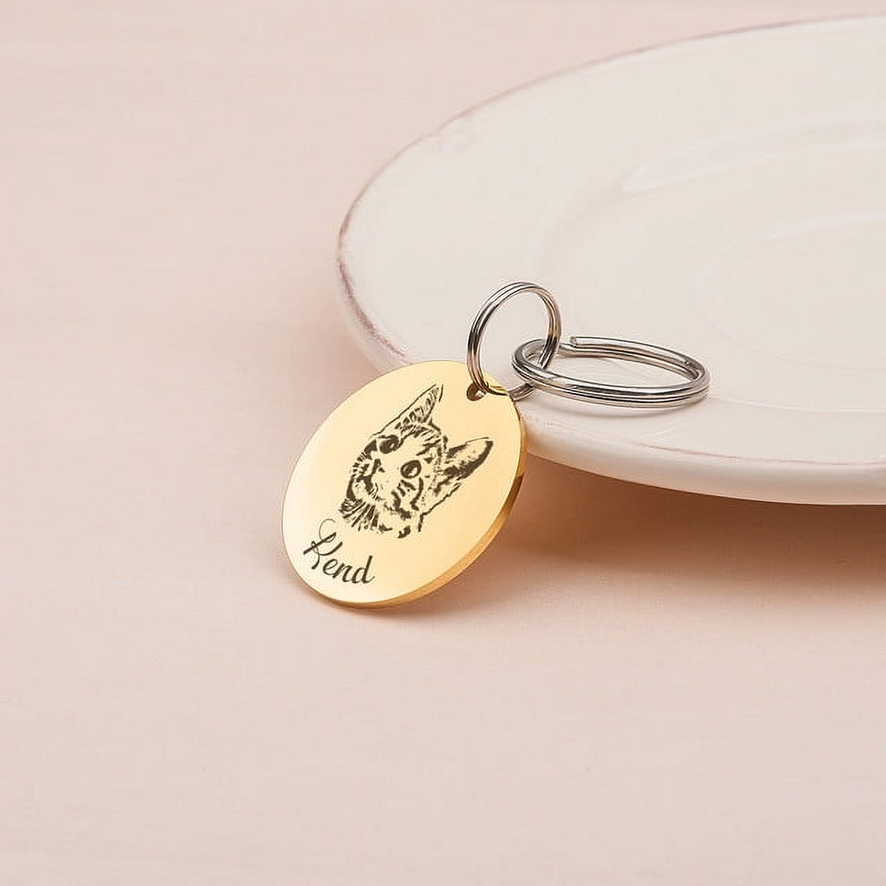 Anavia Stainless Steel Double Sided Round Name and Pet Portrait Engraved Dog & Cat ID Tag, Multi-color, S