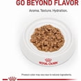 thumbnail image 2 of Royal Canin Feline Care Nutrition Digestive Care Thin Slices in Gravy Wet Cat Food 5.1 oz., Case of 24, 2 of 2