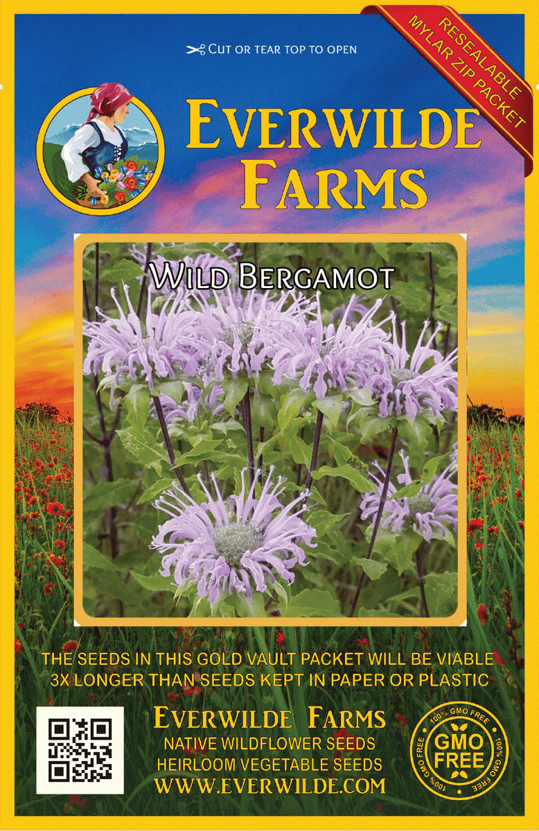 Everwilde Farms - 1/4 lb Wild Bergamot Native Wildflower Seeds - Gold Vault Bulk Seed Packet