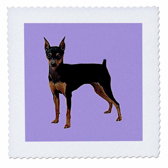 3dRose, Miniature Pinscher, 10x10 inch quilt square
