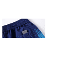 thumbnail image 4 of Lishi Men's Swim Trunks Quick Dry Bathing Suit Swim Shorts Shanshui coconut tree L, 4 of 4