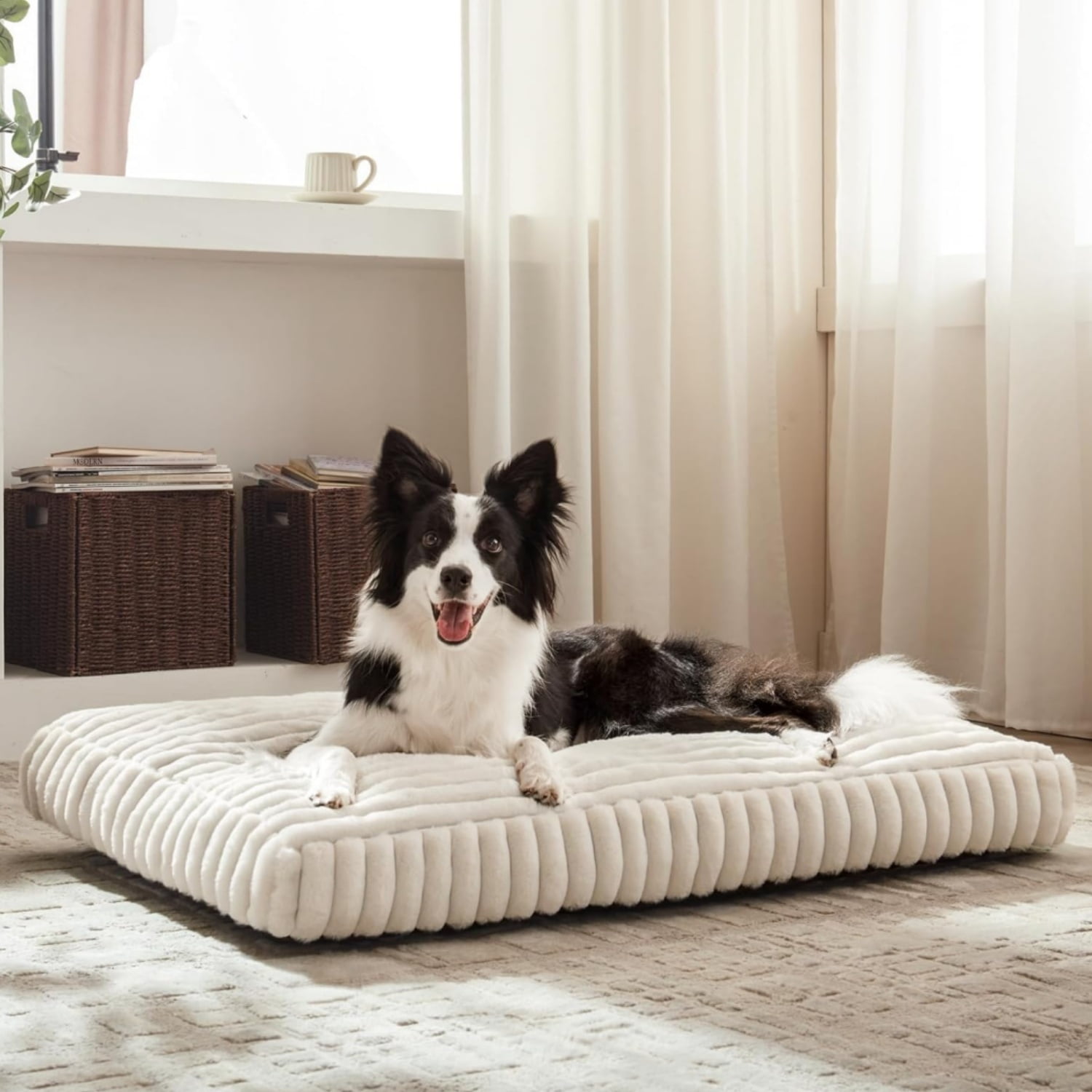 Katieovy Orthopedic Dog Bed for Large Dogs,40*30 inch Large Dog Beds,Washable Dog Beds with Non-Slip Bottom,White