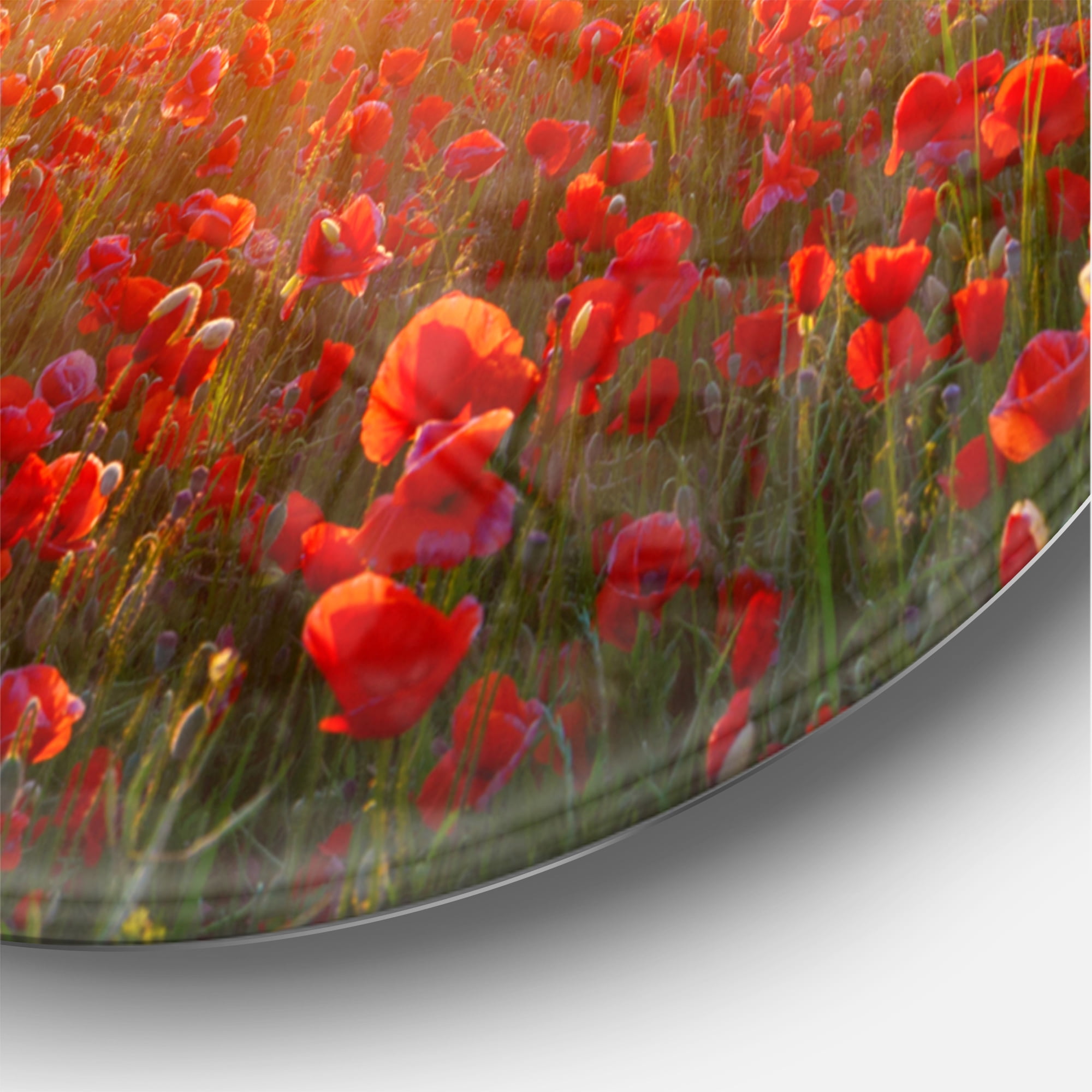 Designart 'Poppy Field under Bright Sunset ' Modern wall clock