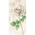 thumbnail image 2 of Wilson, Kelsey 18x32 White Modern Wood Framed Museum Art Print Titled - Ivory  Roses panel II, 2 of 4