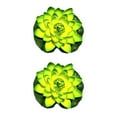 thumbnail image 1 of Redempat 1/2/3/5 EVA Artificial Lotus Solid Color Decorative Vivid Lifelike Simulation Park Pond Landscaping Fake Water Flower Green 2PCS, 1 of 6