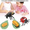 thumbnail image 4 of Highly Simulation Insect Model Toy Educational Children Kid Ladybug Model Toy GiftLadybug, 4 of 4
